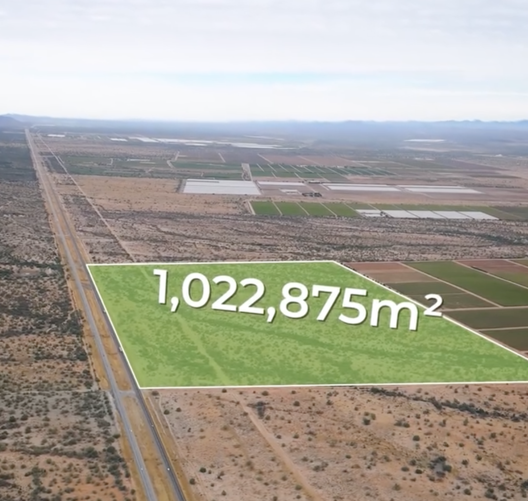 Captura de pantalla 2025-04-02 a la(s) 5.06.44 p.m.